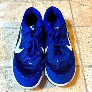 Nike Flex Experience RN 4 Blue Running Sneaker Shoes  Men's 13 Clean!